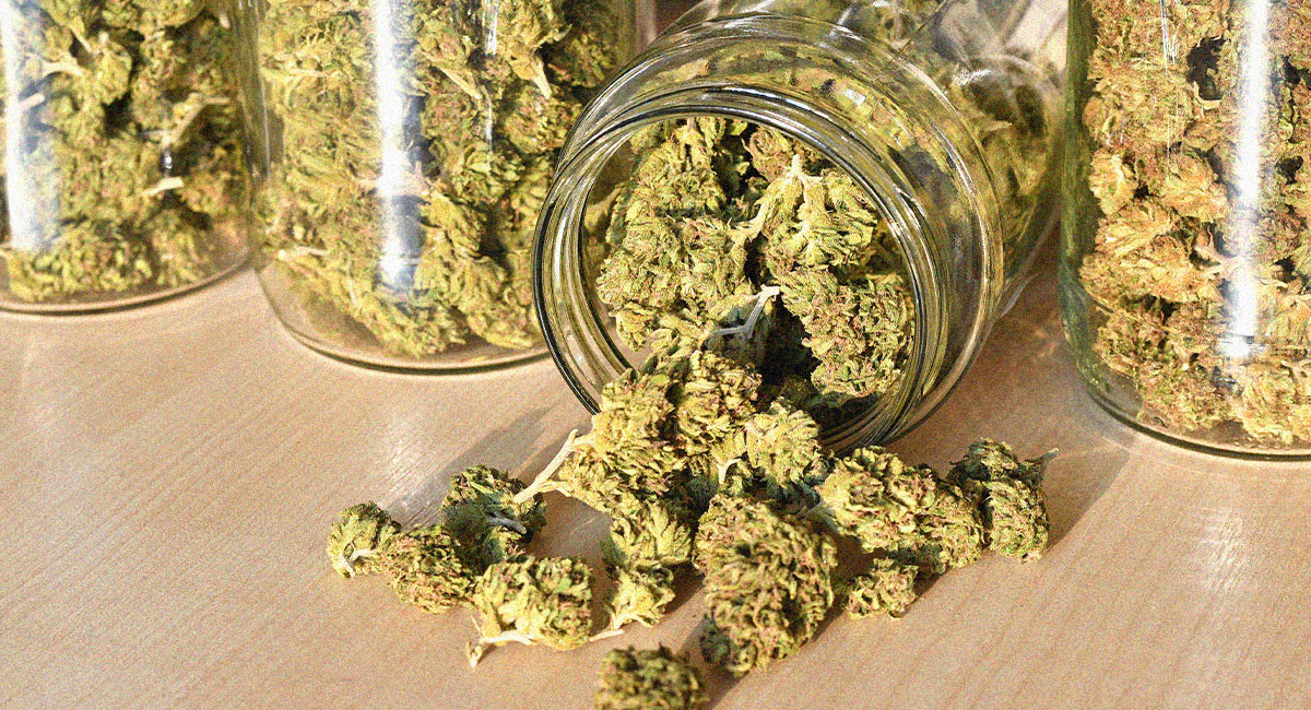 cannabis-richtig-lagern-Bild-1