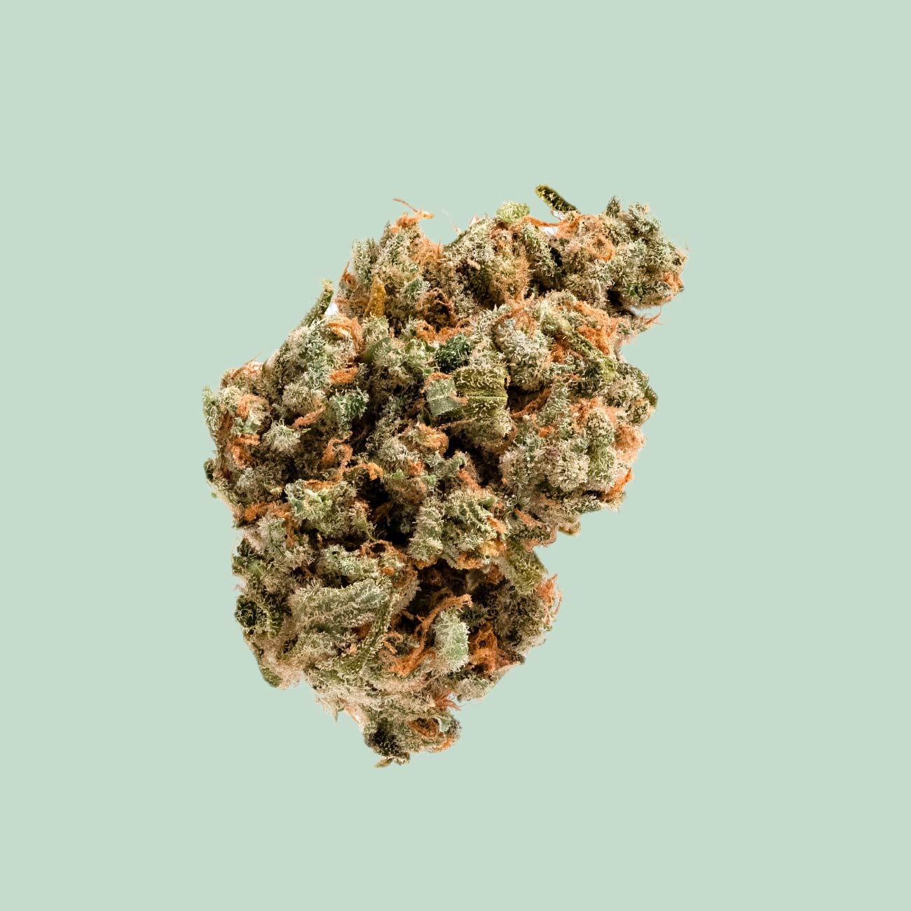 Jack Herer 3g CBD Blüten Jetzt online bestellen